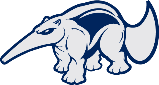California-Irvine Anteaters 1991-2008 Mascot Logo iron on transfers for clothing